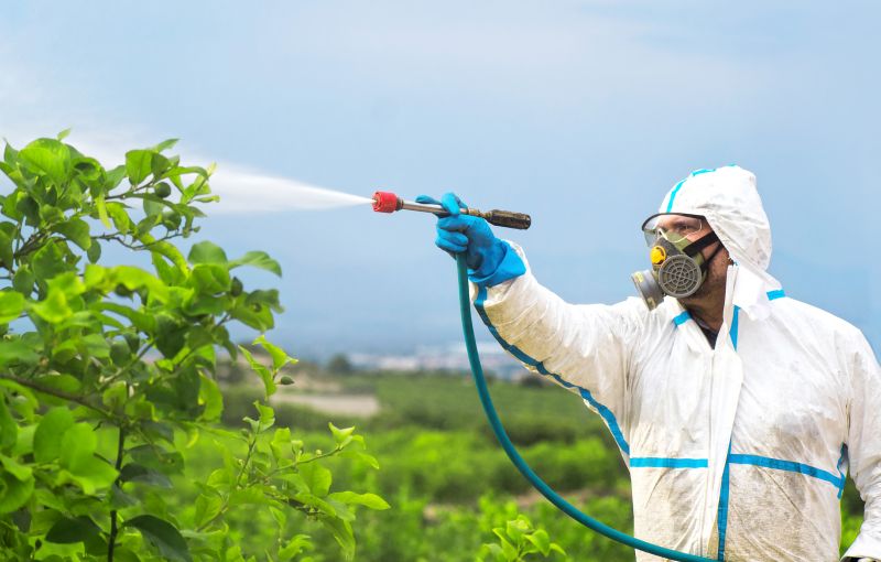 Commercial Fumigation in Wilmington, NC