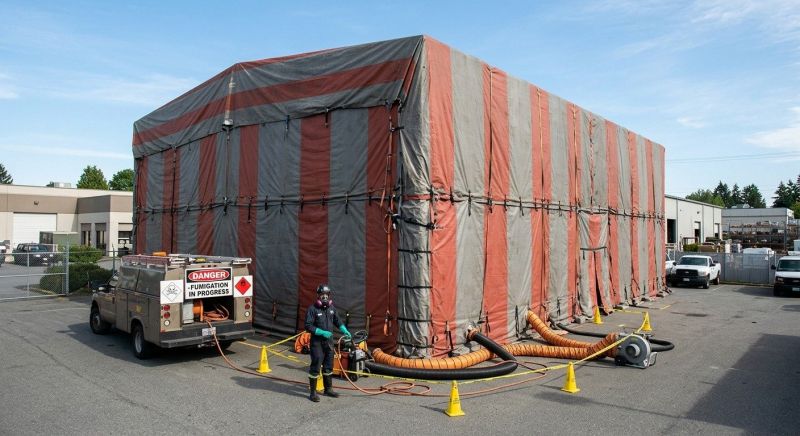 Commercial Fumigation in Fredericksburg, VA