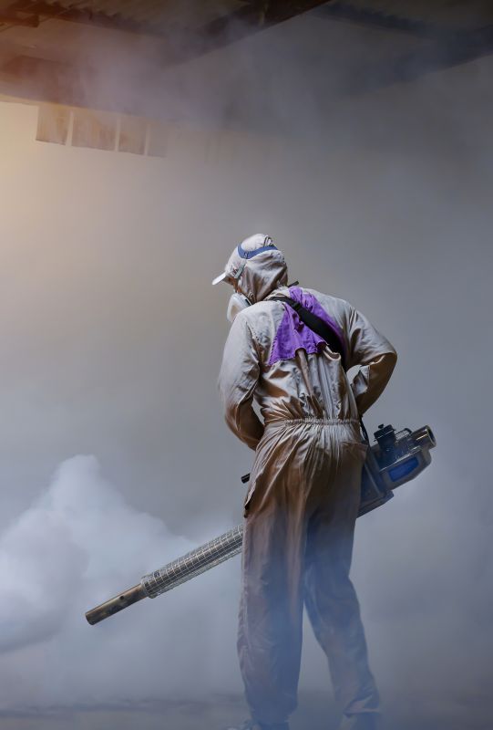 Rat Fumigation Service in Fort Myers, FL