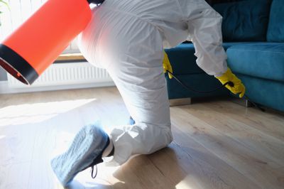 Roach Fumigation in Fort Myers, FL