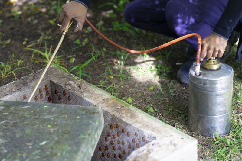 Roach Fumigation in Long Island, NY