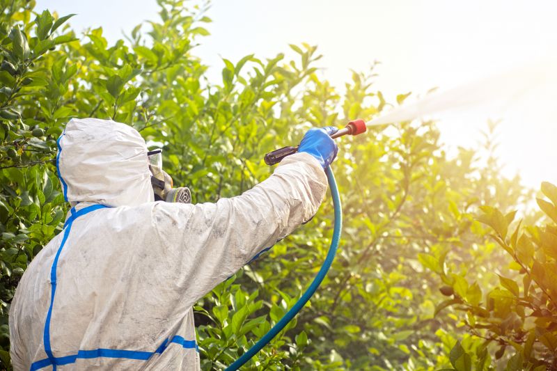 Spider Fumigation Service in San Antonio, TX