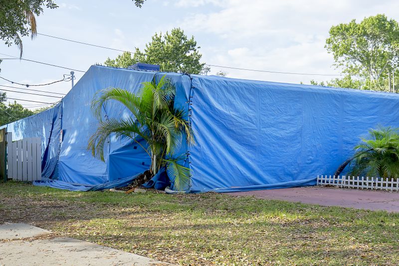Termite Tenting in Naperville, IL