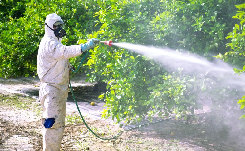 What Is Fumigation, And When Is It Necessary For Pest Control?